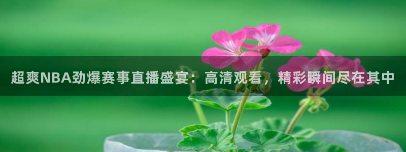 超爽NBA劲爆赛事直播盛宴：高清观看，精彩瞬间尽在其中